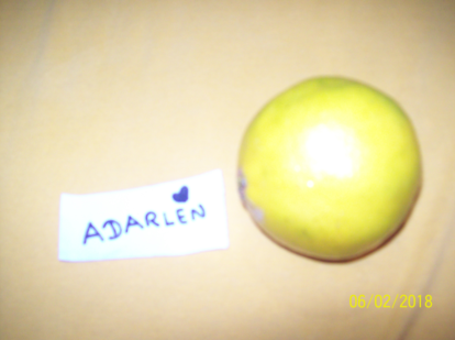 http://img.atelier801.com/0ba4f362.png