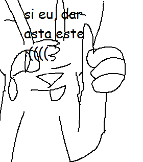 http://img.atelier801.com/0f24f029.png