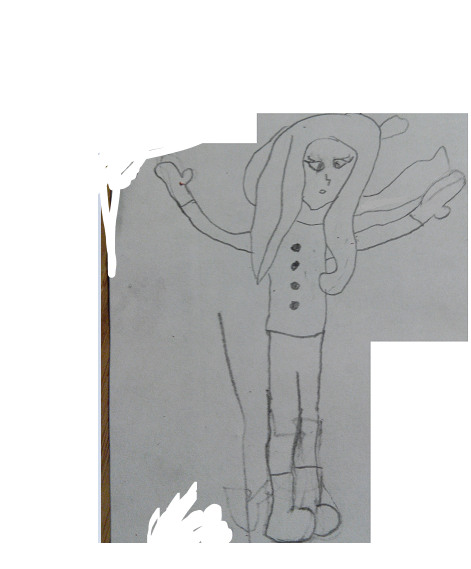 http://img.atelier801.com/1724f356.png