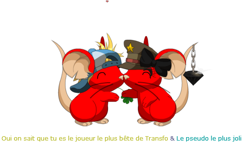 http://img.atelier801.com/19a4f09b.png