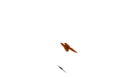 http://img.atelier801.com/1e24f1c4.gif