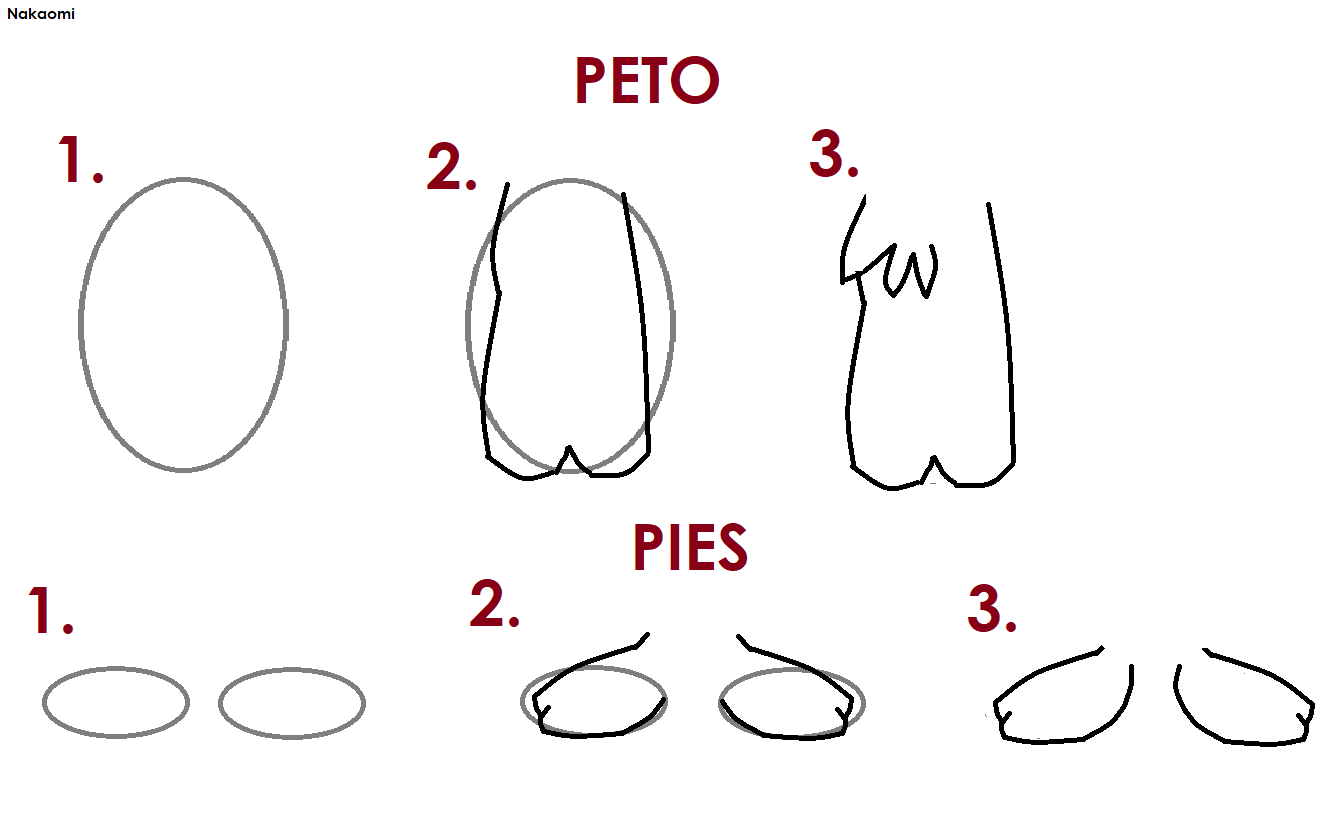 http://img.atelier801.com/31a4f358.png
