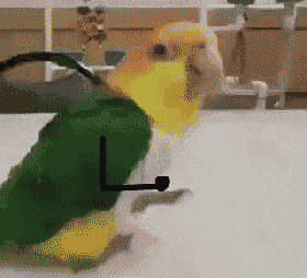 http://img.atelier801.com/3b24f149.gif