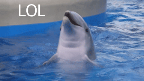 http://img.atelier801.com/42a4f3b1.gif