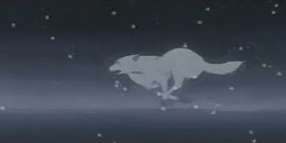 http://img.atelier801.com/4da4f176.gif