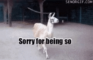 http://img.atelier801.com/5824f0a2.gif