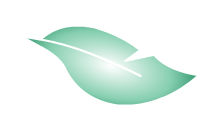 http://img.atelier801.com/67a4f106.png