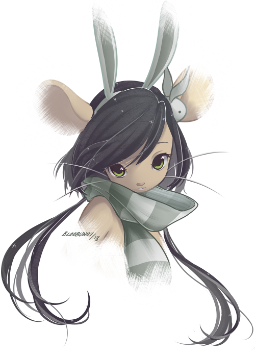 http://img.atelier801.com/6fa4f341.png