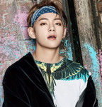 http://img.atelier801.com/7324f088.png