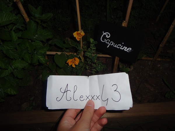 http://img.atelier801.com/75a4f0ca.jpg