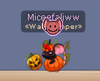 http://img.atelier801.com/7fa4f20f.png