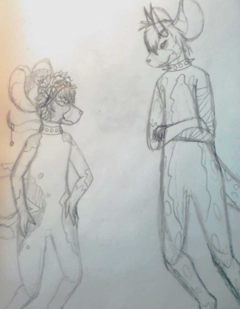 http://img.atelier801.com/85a4f238.png