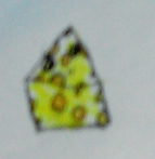 http://img.atelier801.com/8924f358.png