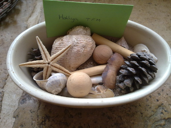 http://img.atelier801.com/8b24f0cf.jpg