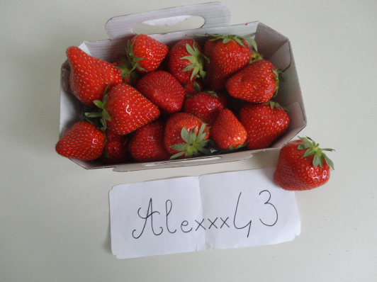 http://img.atelier801.com/94a4f0b0.png