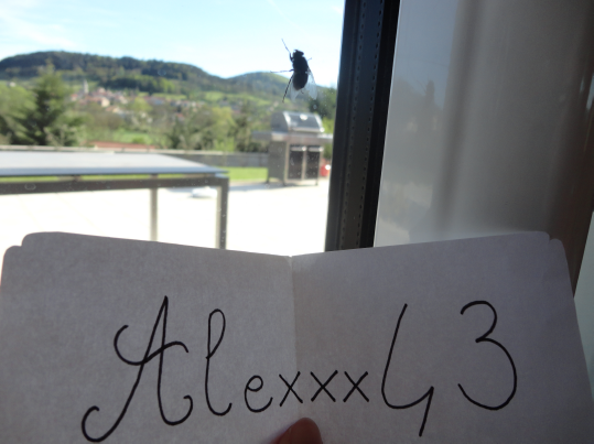 http://img.atelier801.com/a8a4f0b0.png