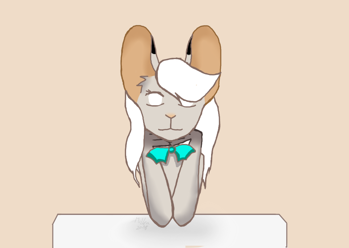 http://img.atelier801.com/aca4f3c0.png