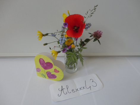 http://img.atelier801.com/aea4f0b0.png