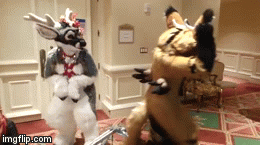 http://img.atelier801.com/b8a4f129.gif