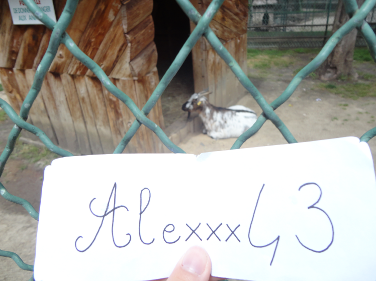 http://img.atelier801.com/bfa4f0ab.png