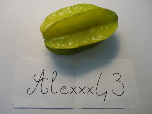 http://img.atelier801.com/c424f093.png