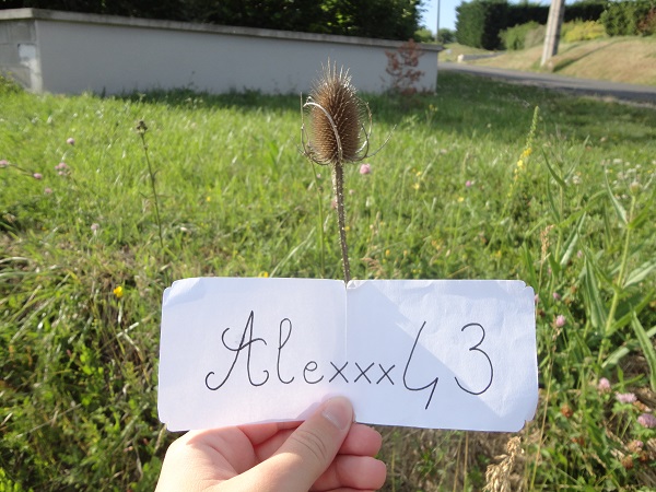 http://img.atelier801.com/d924f0df.jpg