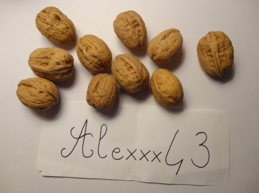 http://img.atelier801.com/d9a4f090.png