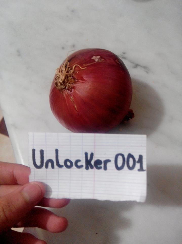 http://img.atelier801.com/e0a4f08c.jpg