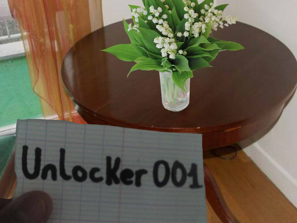 http://img.atelier801.com/e724f08c.jpg